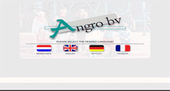 Desktop Screenshot of angro.nl